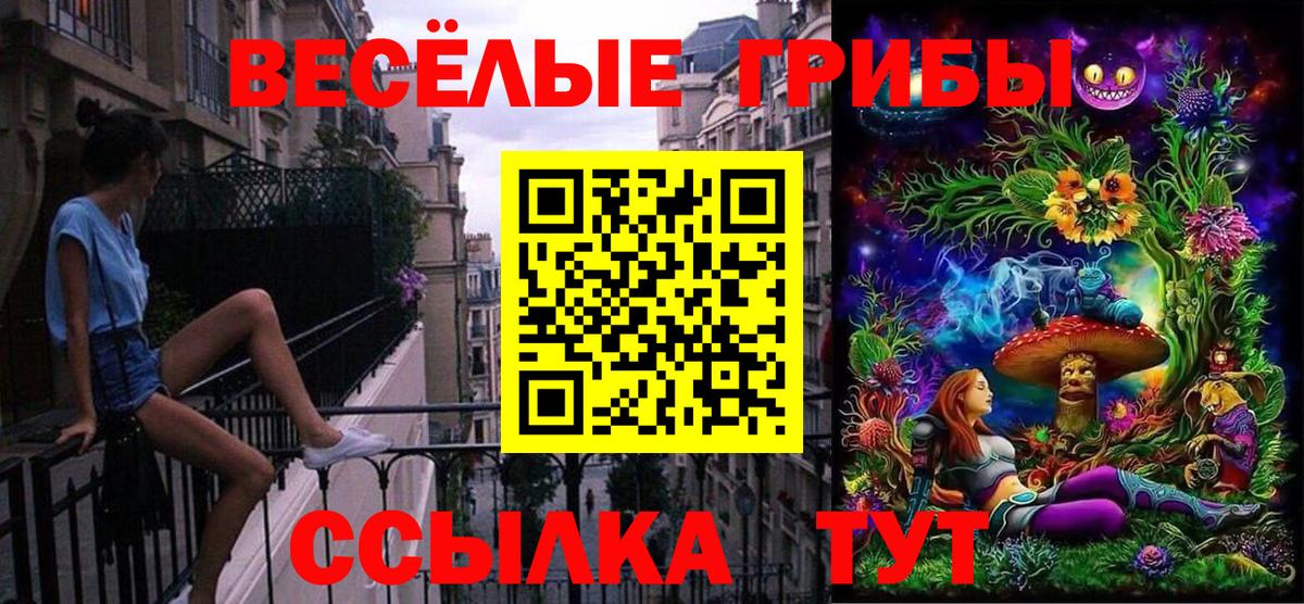 Выборг  Псилоцибиновые грибы MAGIC MUSHROOMS  Галлюциногенные грибы прущие грибы  Вход с VPN 