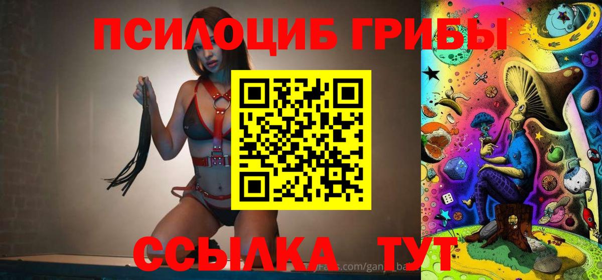 Галлюциногенные грибы прущие грибы Выборг